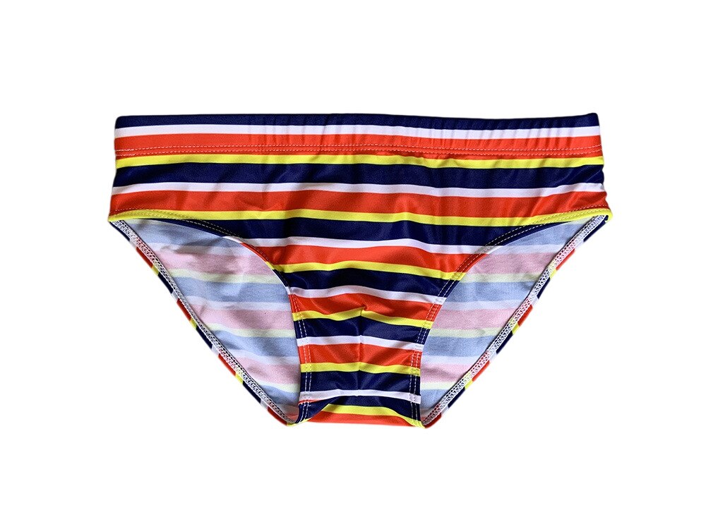 Horizon Hymn Swim Briefs