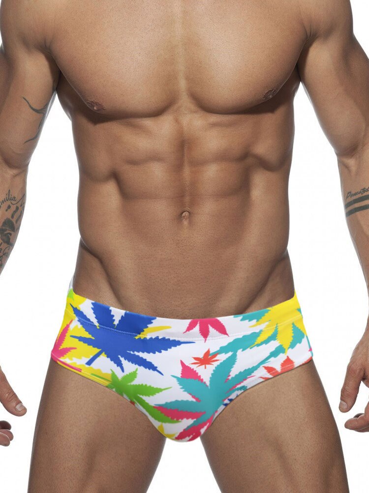 Rainbow Rapture Swim Briefs