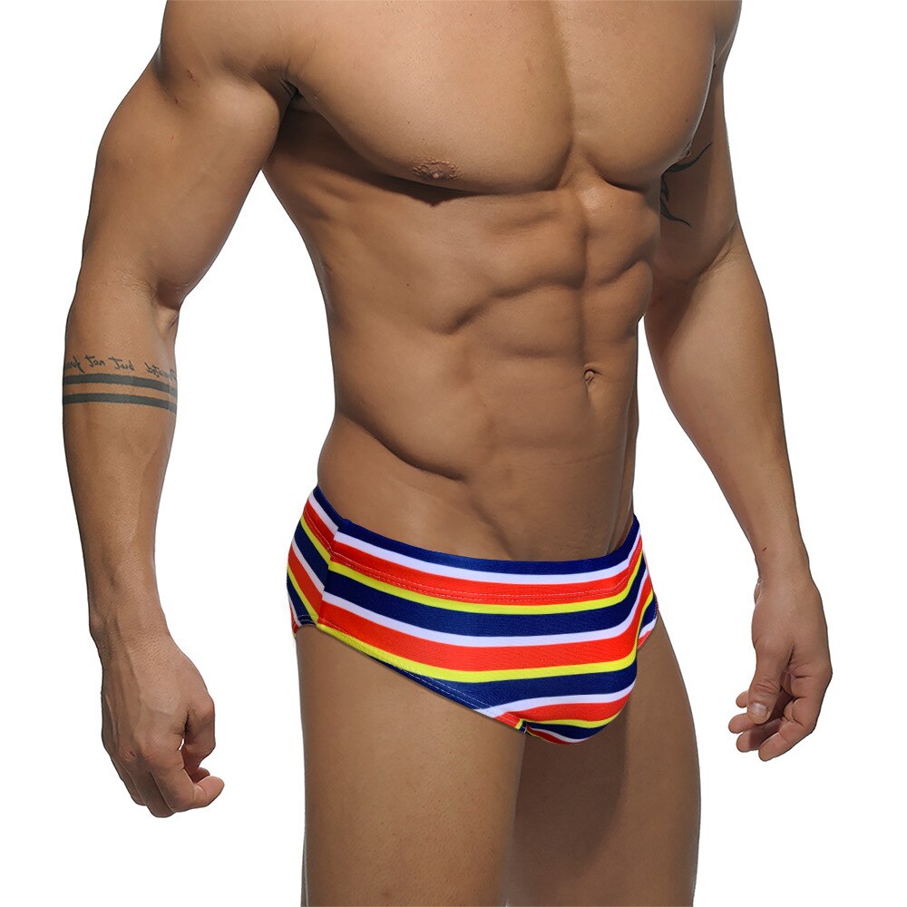 Horizon Hymn Swim Briefs