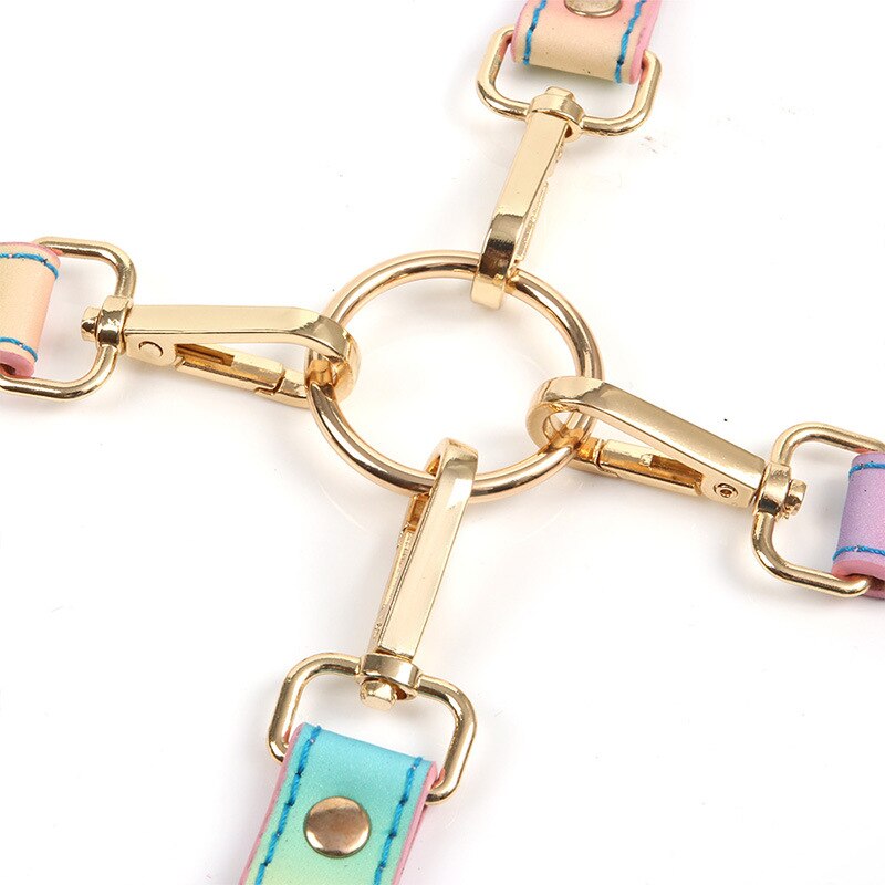 Rainbow Fierce 8-Piece Bondage Erotic Set