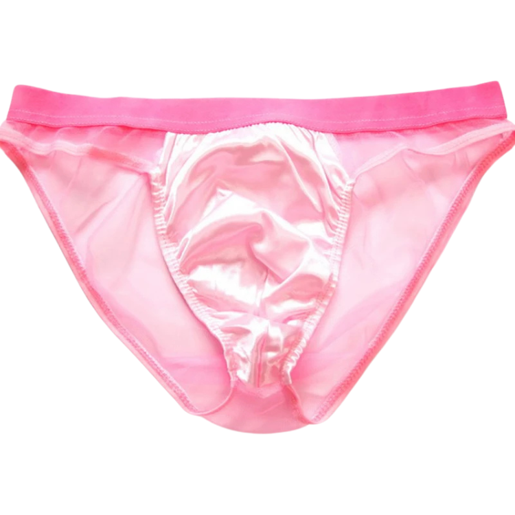 See Me Through Scandalous Mesh Briefs