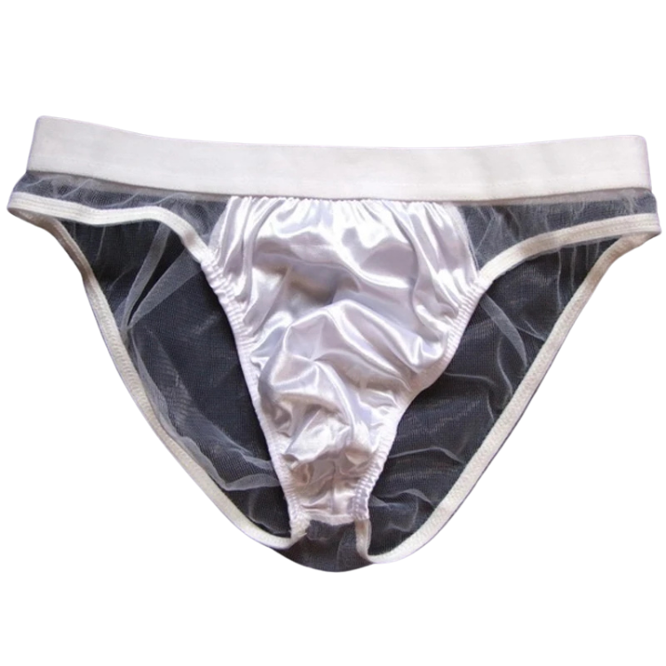 See Me Through Scandalous Mesh Briefs