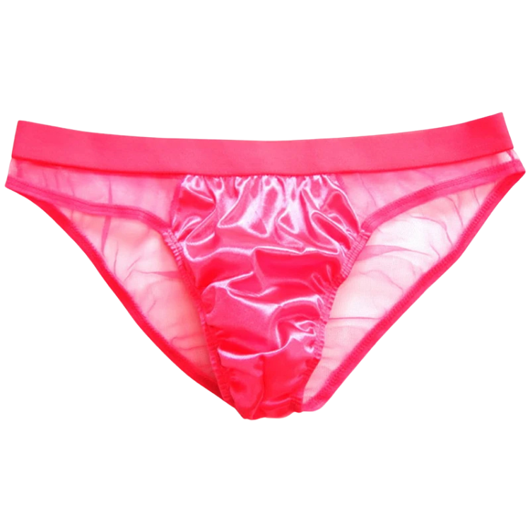 See Me Through Scandalous Mesh Briefs