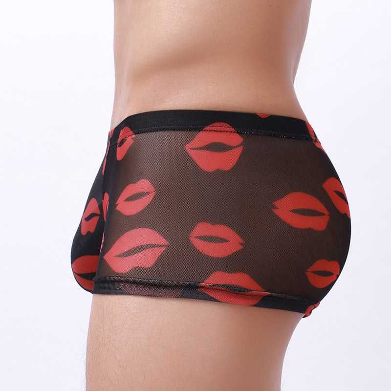 Kiss Me All Over Translucent Mesh Boxer Briefs