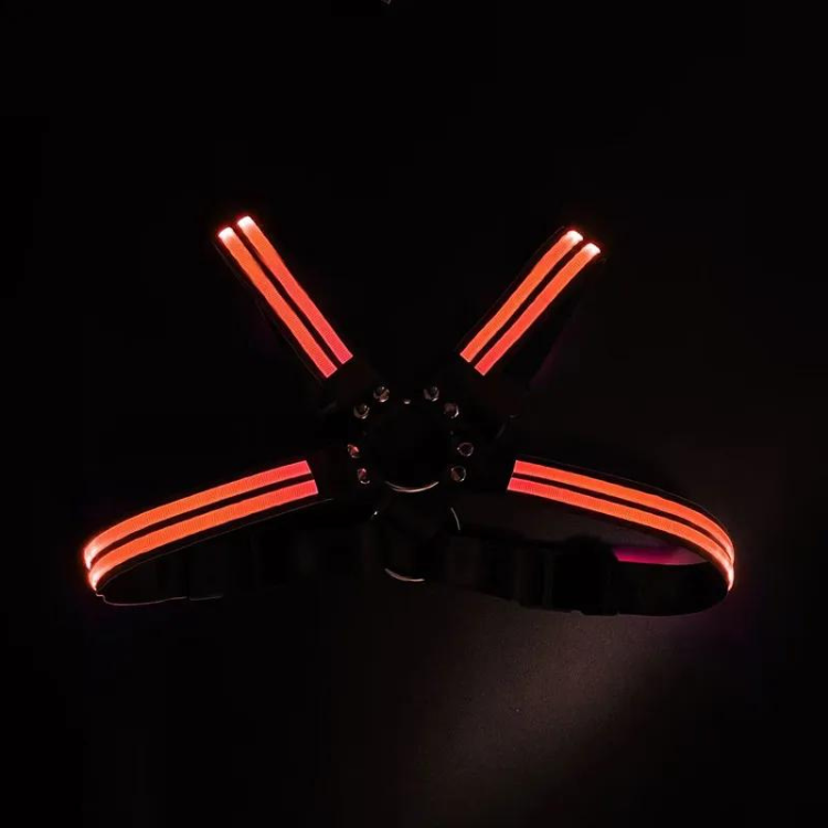 Shine Bright Circuit Party LED Harness