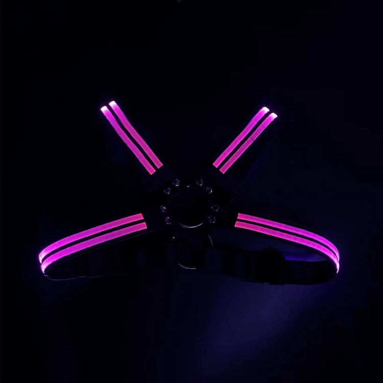 Shine Bright Circuit Party LED Harness