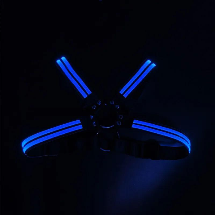 Shine Bright Circuit Party LED Harness