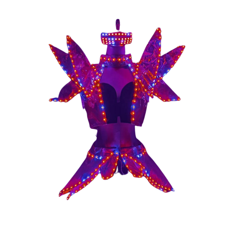 Shine On Full LED Stand Out Costume
