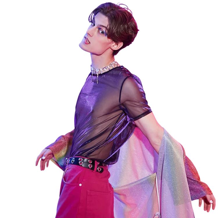 Short Sleeve Transparent Mesh Tee