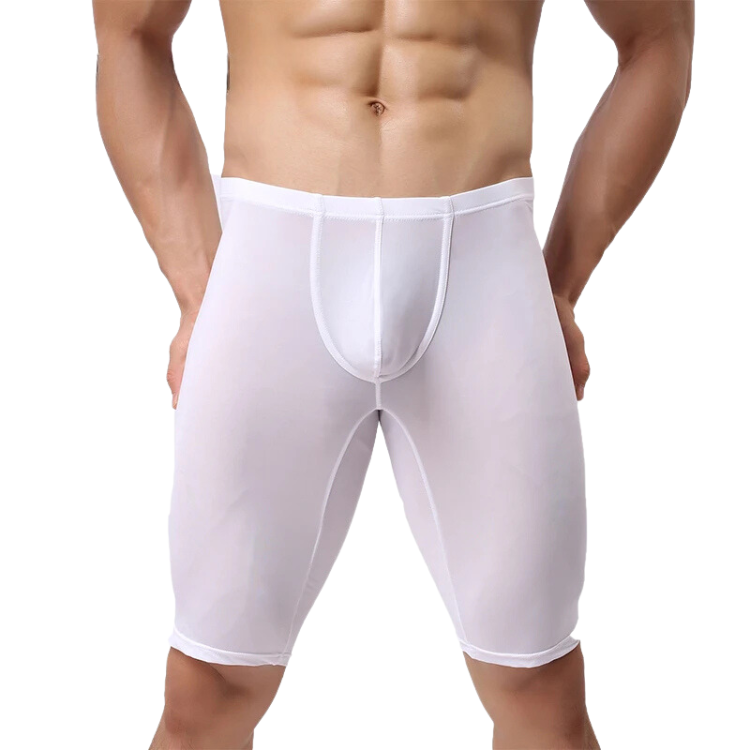 Sweet Seduction Mesh Candy Shorts