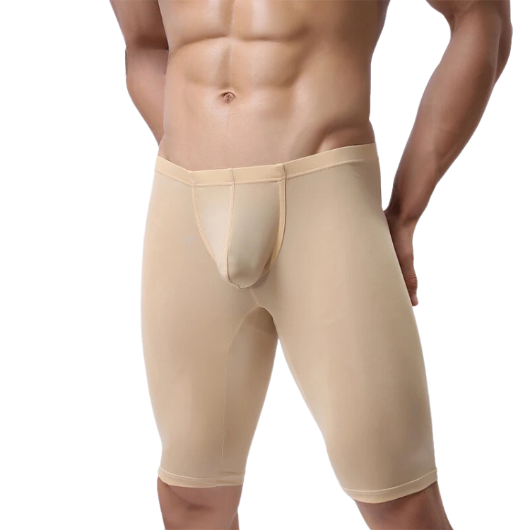 Sweet Seduction Mesh Candy Shorts