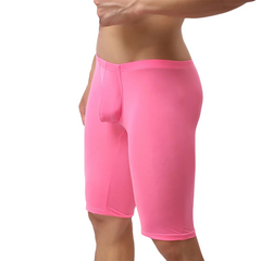 Sweet Seduction Mesh Candy Shorts