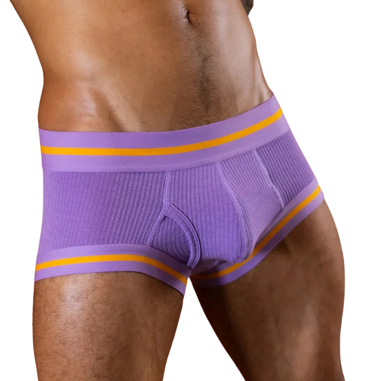 Tauwell Retro Era Boxer Briefs