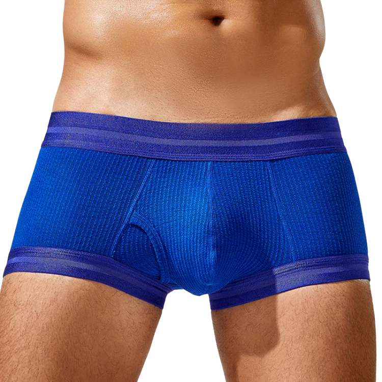 Tauwell Retro Era Boxer Briefs