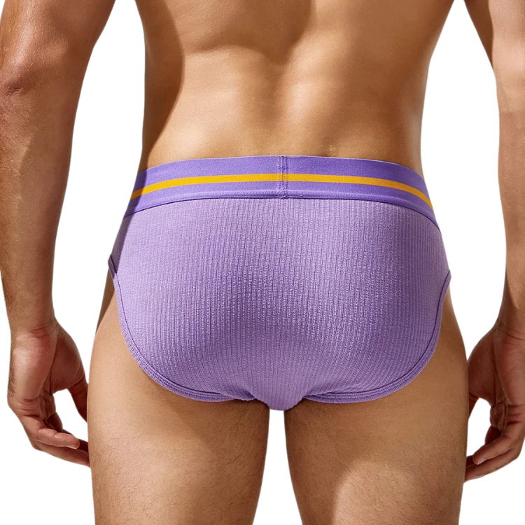 Tauwell Retro Era Briefs