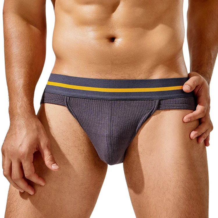 Tauwell Retro Era Briefs