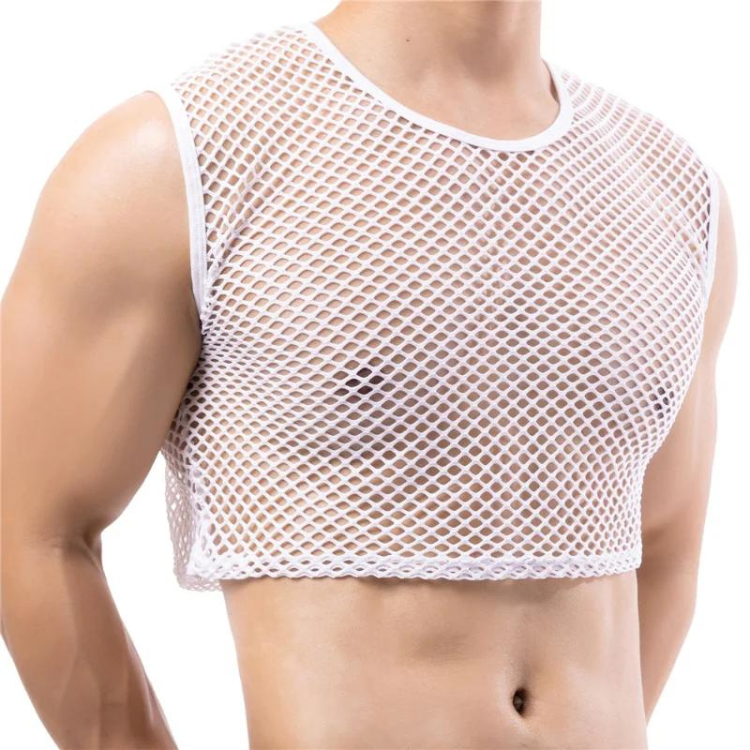 Transparent Fishnet Crop Top