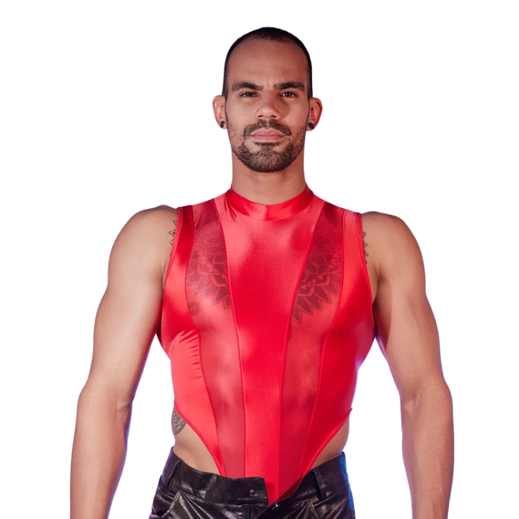 Transparent Tease Mesh Bodysuit