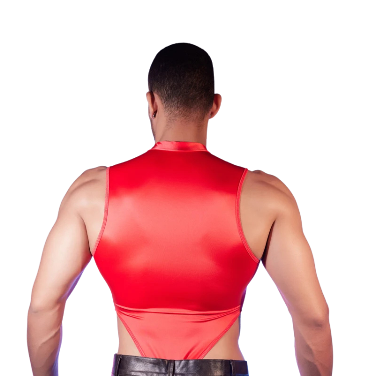 Transparent Tease Mesh Bodysuit