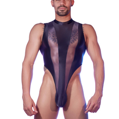Transparent Tease Mesh Bodysuit
