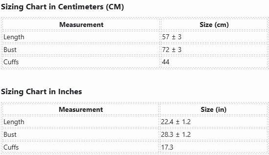 Transparent Tease Mesh Bodysuit