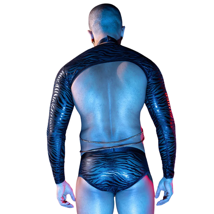 Wild Obsession Zebra Chain Costume