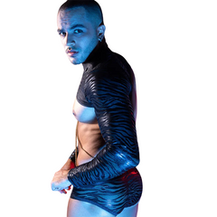 Wild Obsession Zebra Chain Costume