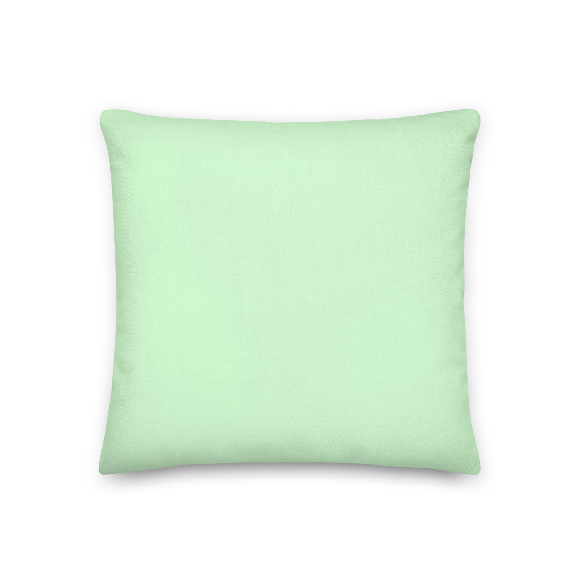 Being Straight Was My Phase Pillow