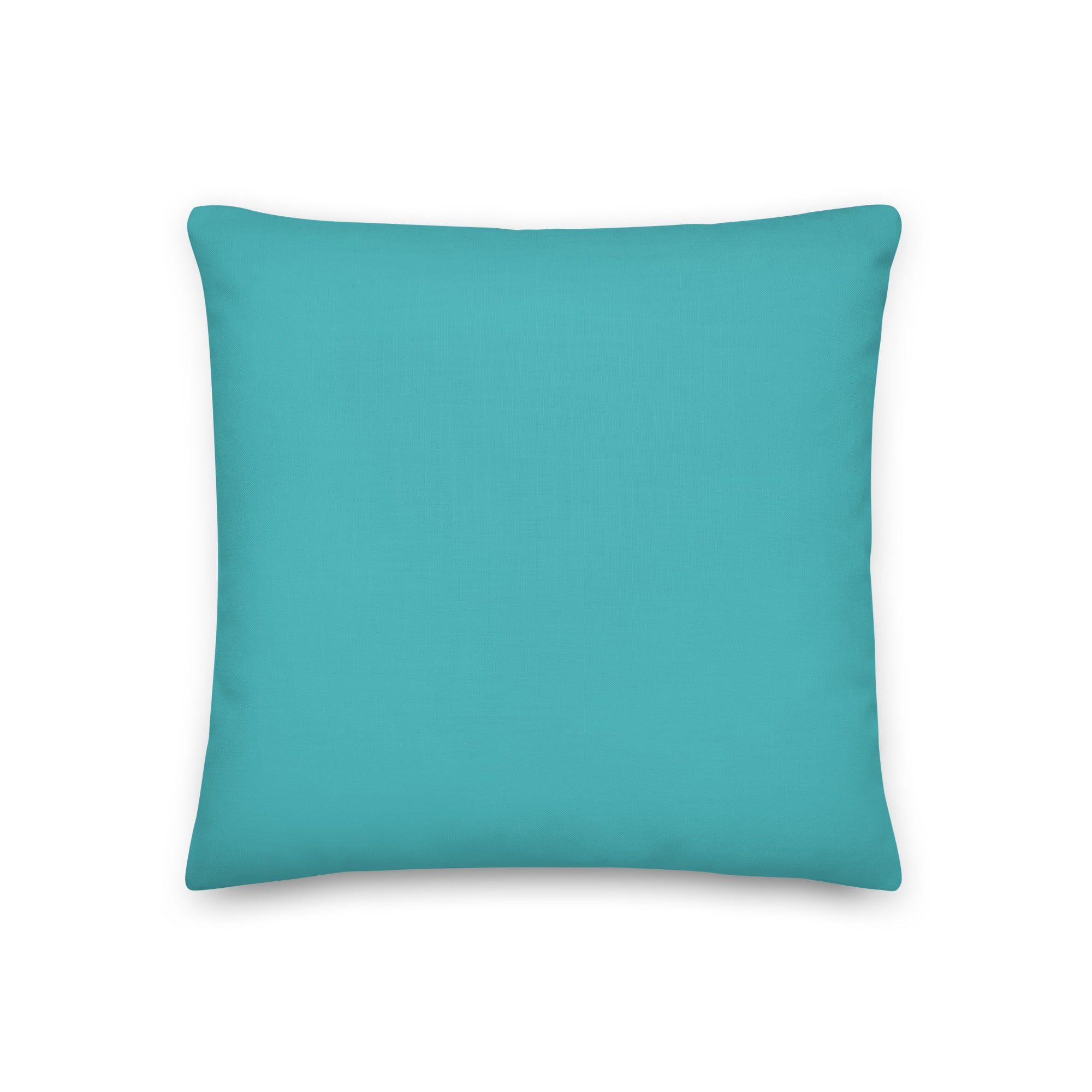 Bisexual Sorcerer Pillow