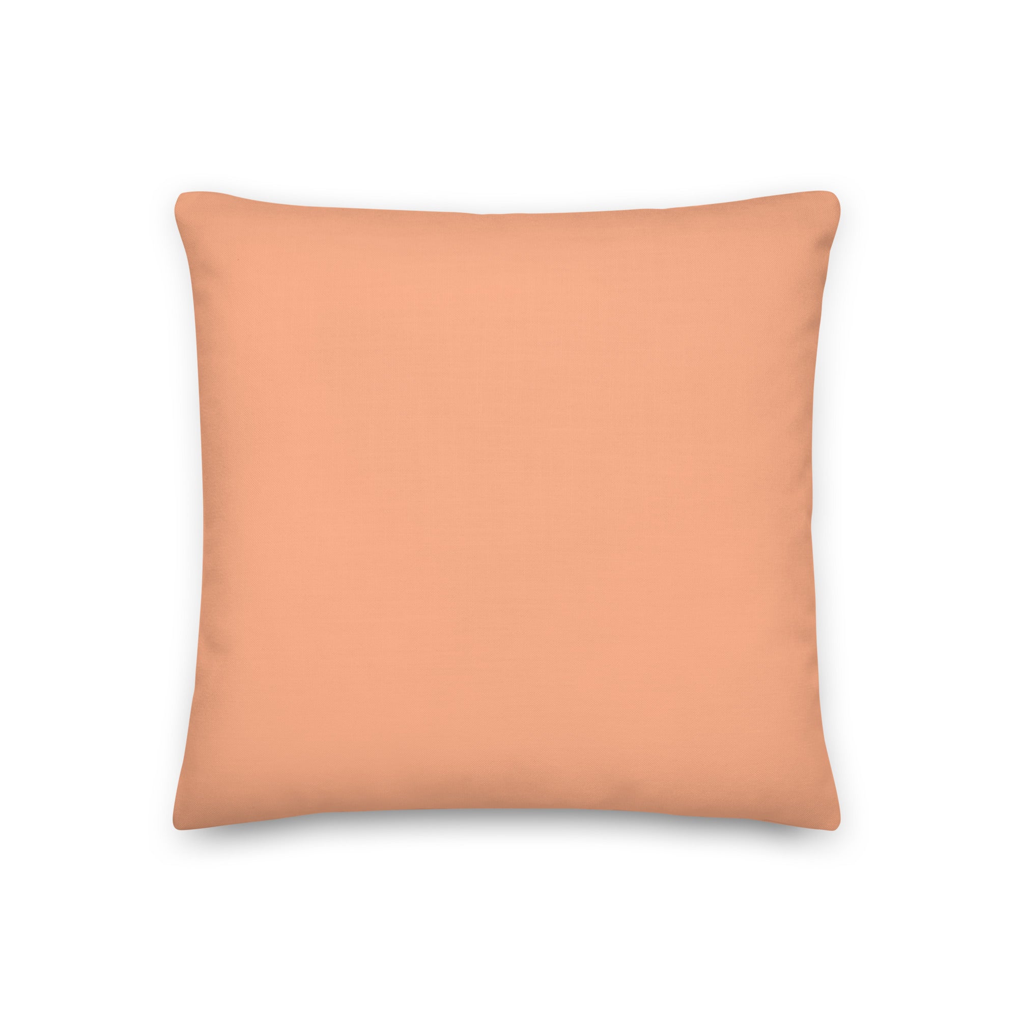 Gay USA Pillow