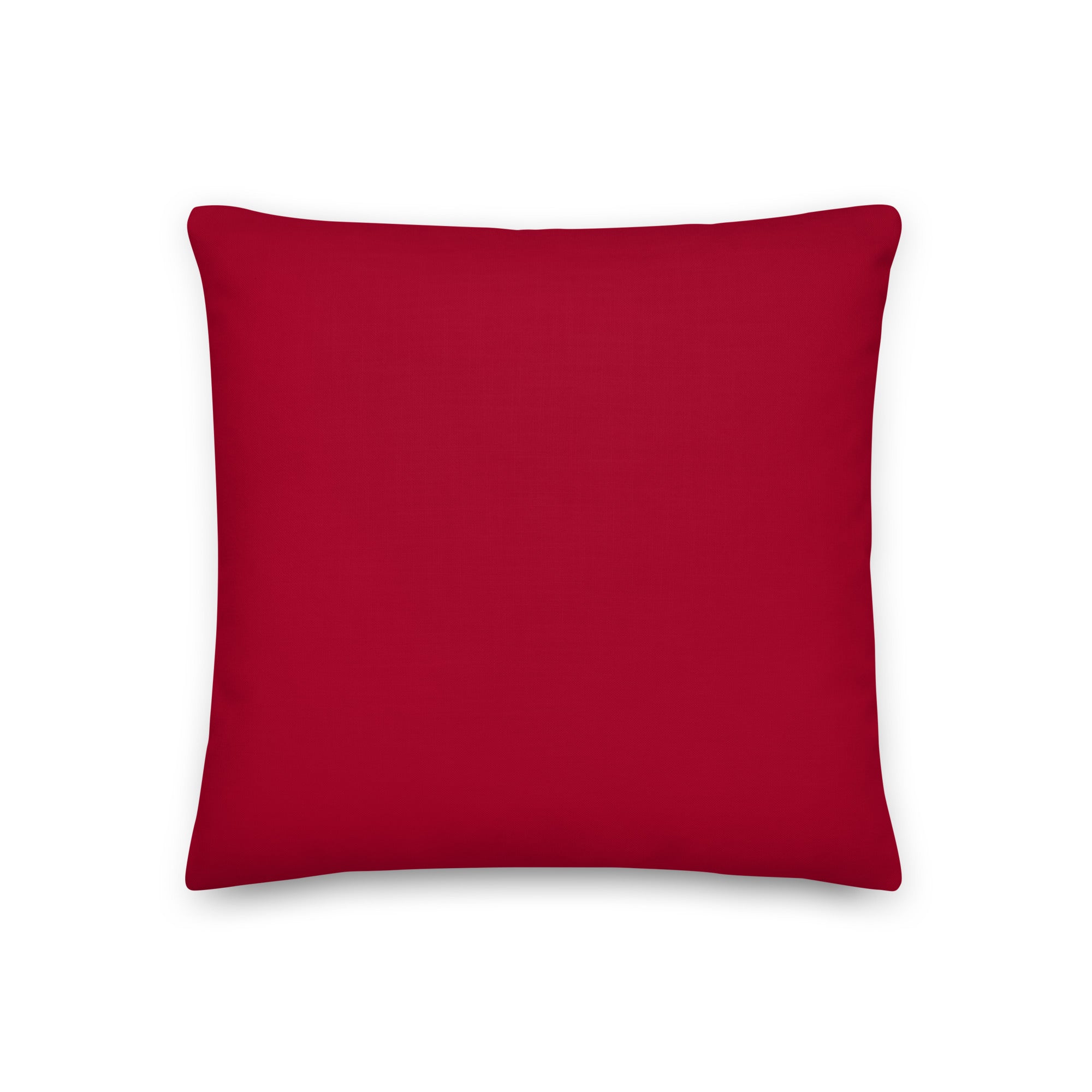 Glow Up Pillow