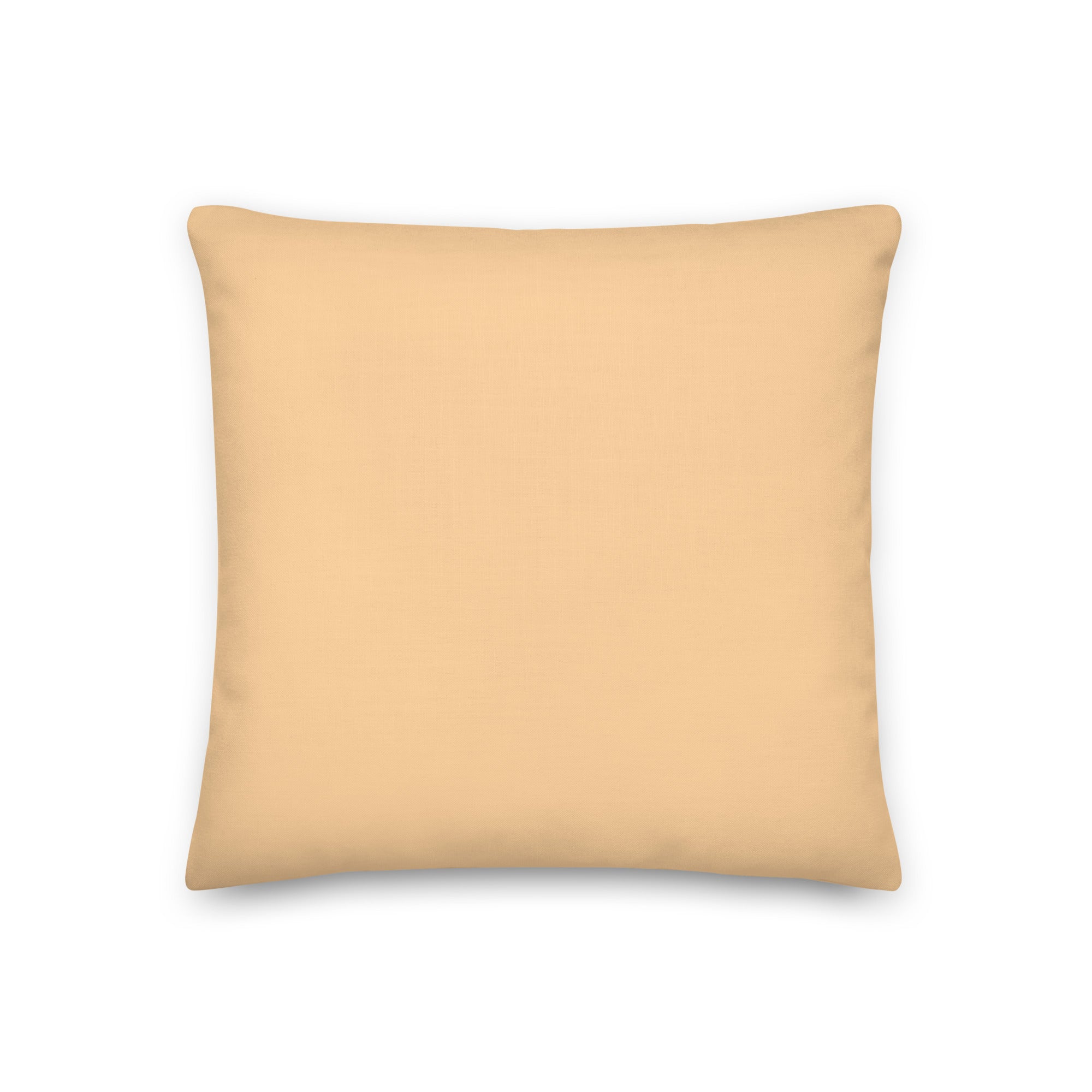 Guaranteed, I Can Blow Your Mind...mwah! Pillow