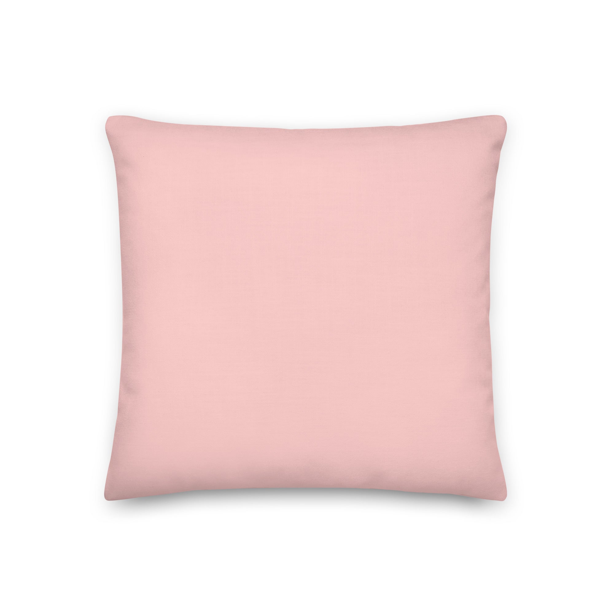 Don't Let Anyone Stop You From Being Proud Pillow