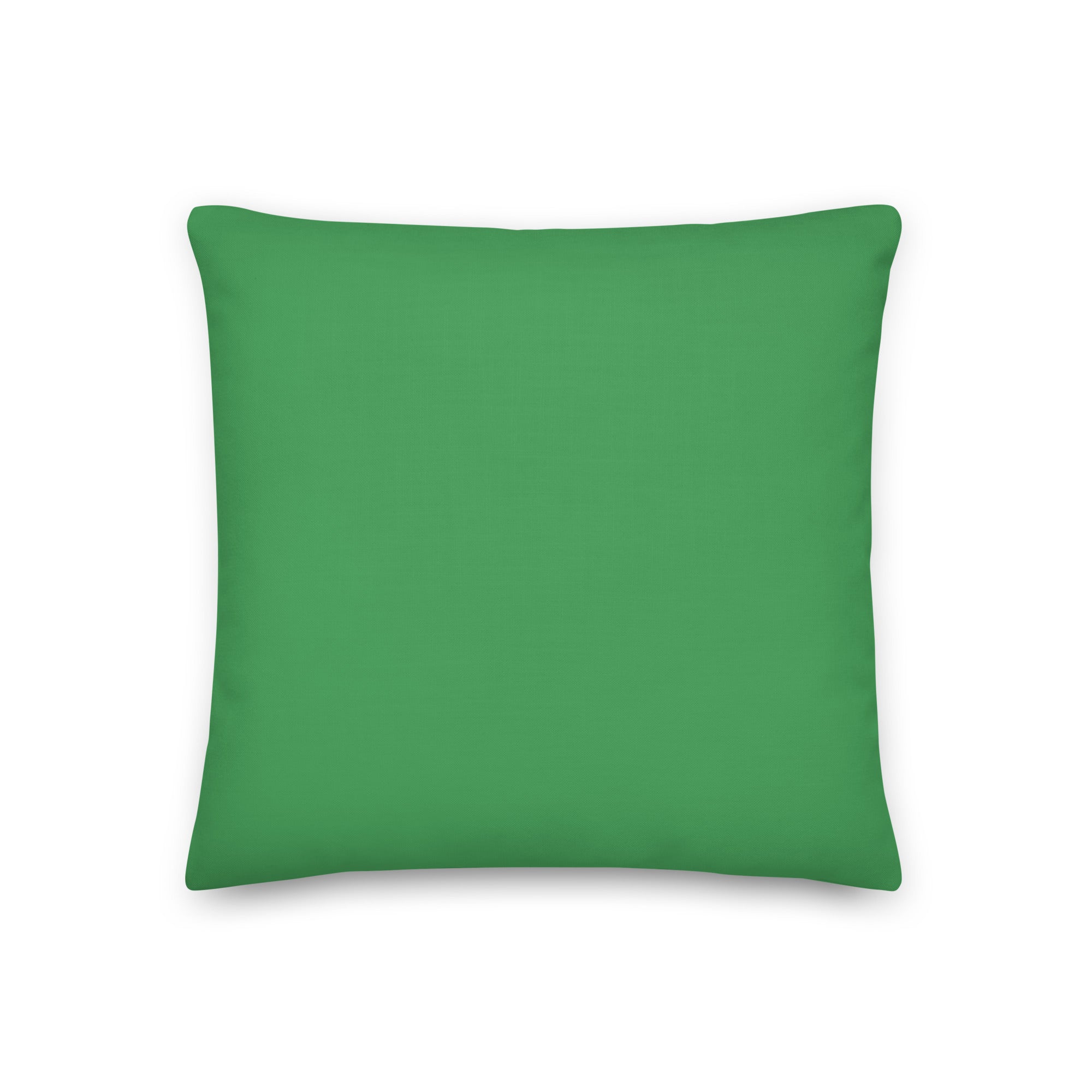 Hello My Pronouns Are Fluid. So Ask. Pillow