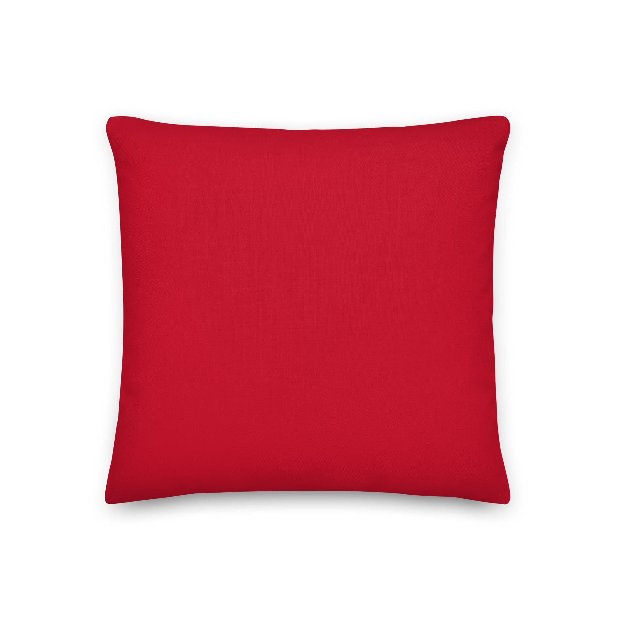 Hello My Pronouns Are Xe / Xem / Xyrs Pillow