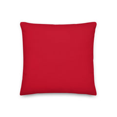 Hello My Pronouns Are Xe / Xem / Xyrs Pillow