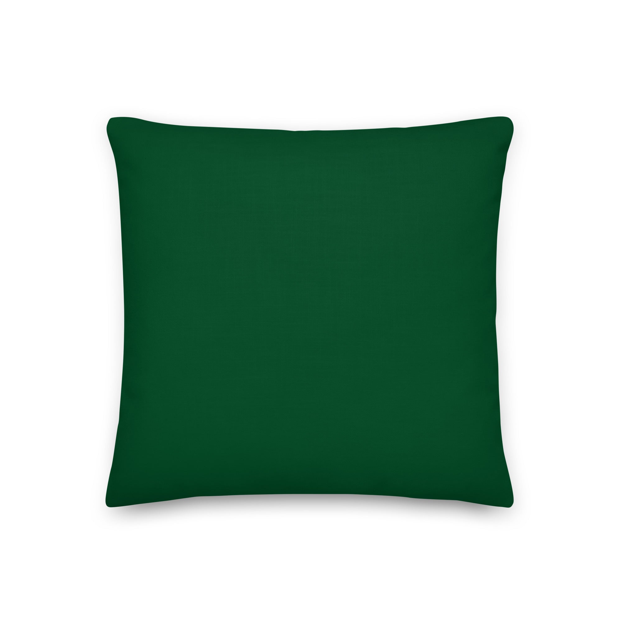 Hot Gay Furry Pillow