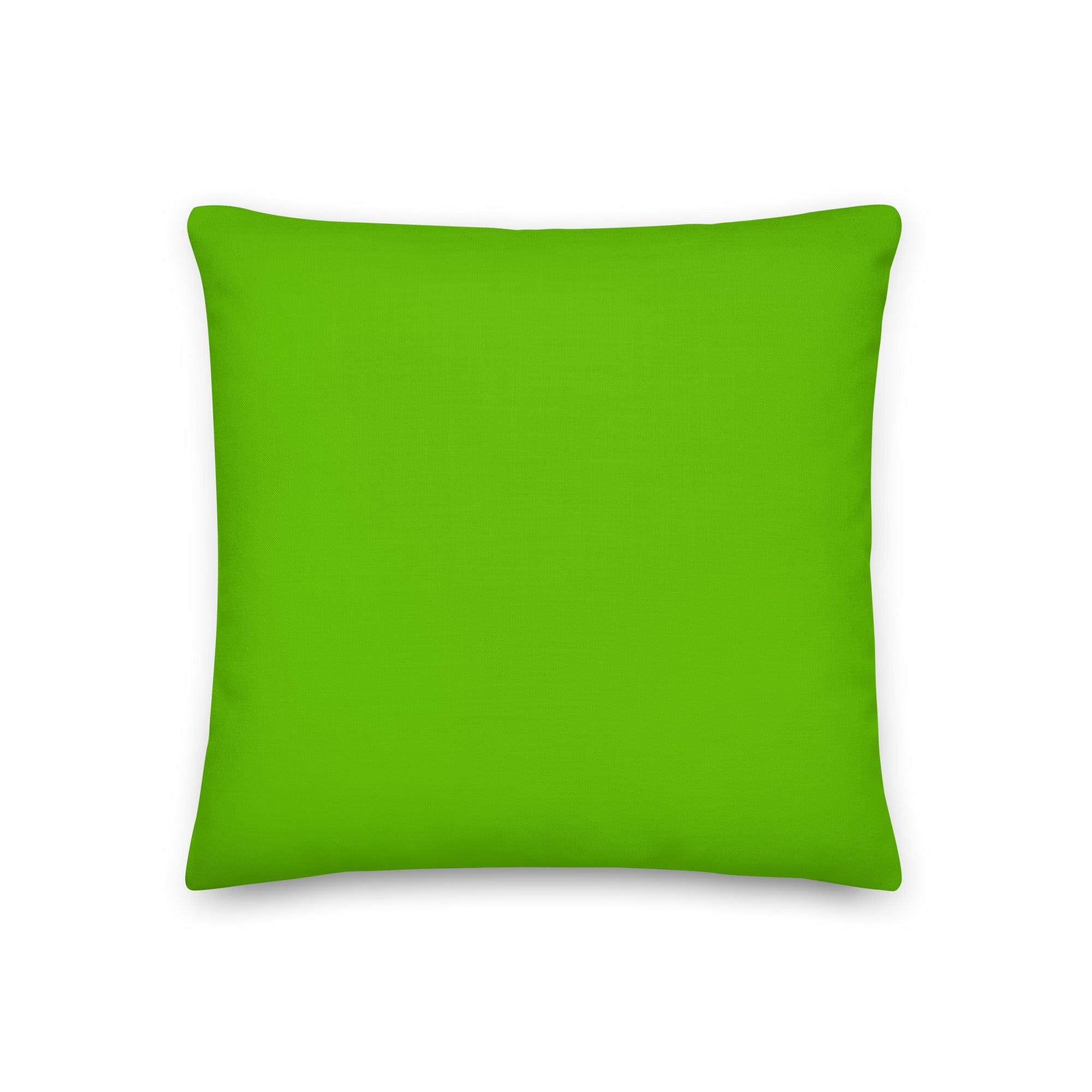 I Believe In Equality For All Pillow