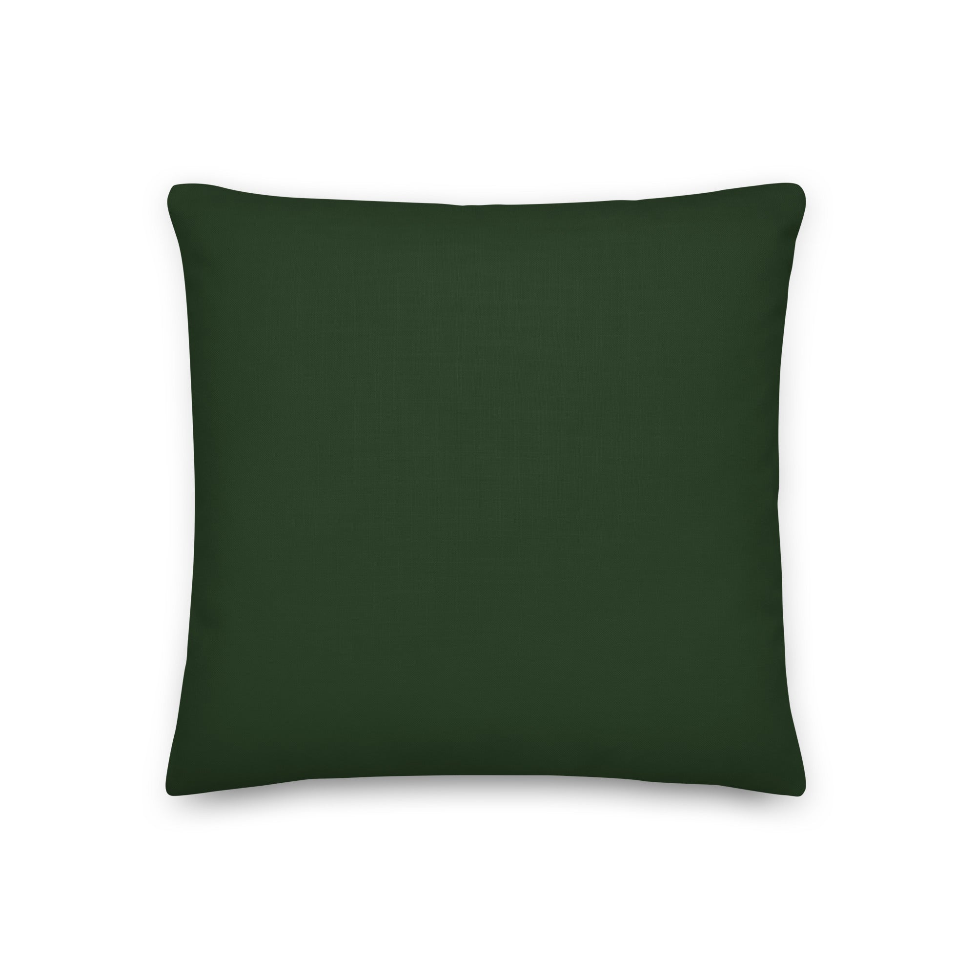 I Like Girls Pillow