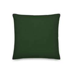 I Like Girls Pillow