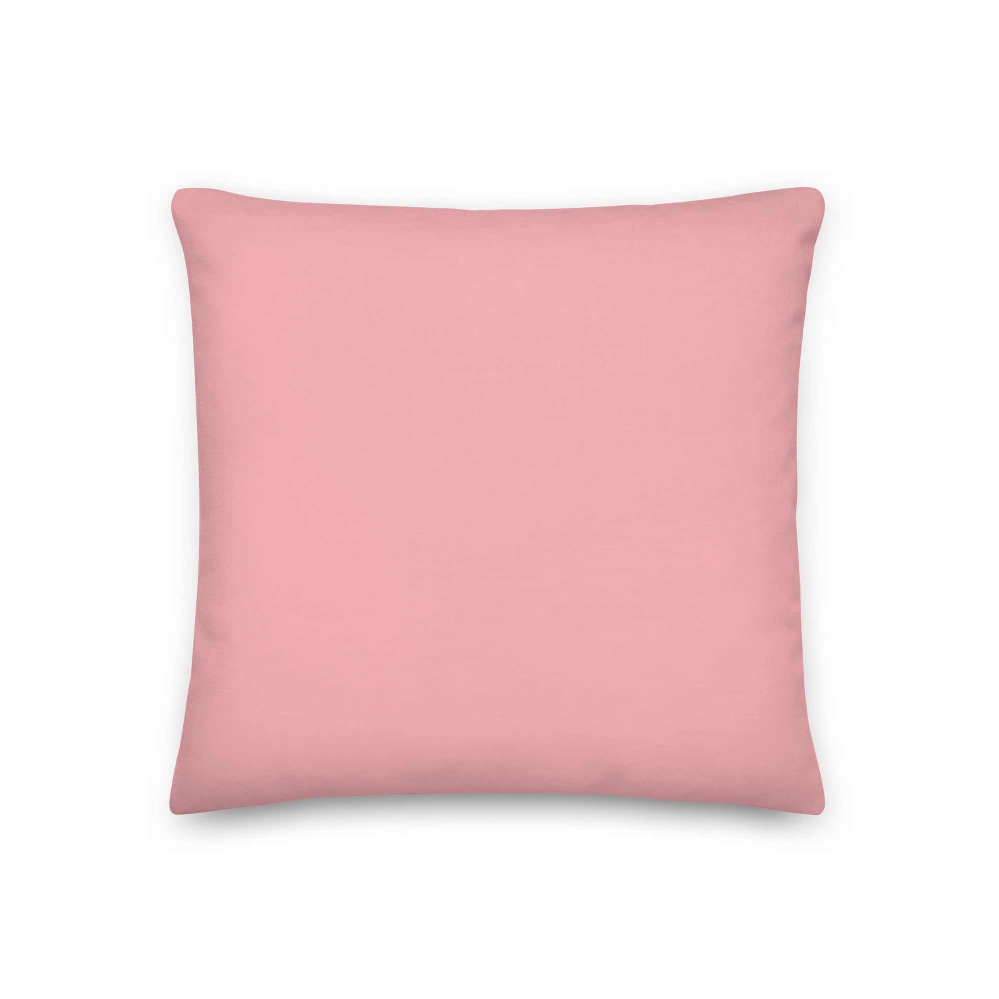 I Make Fetch Happen! Pillow