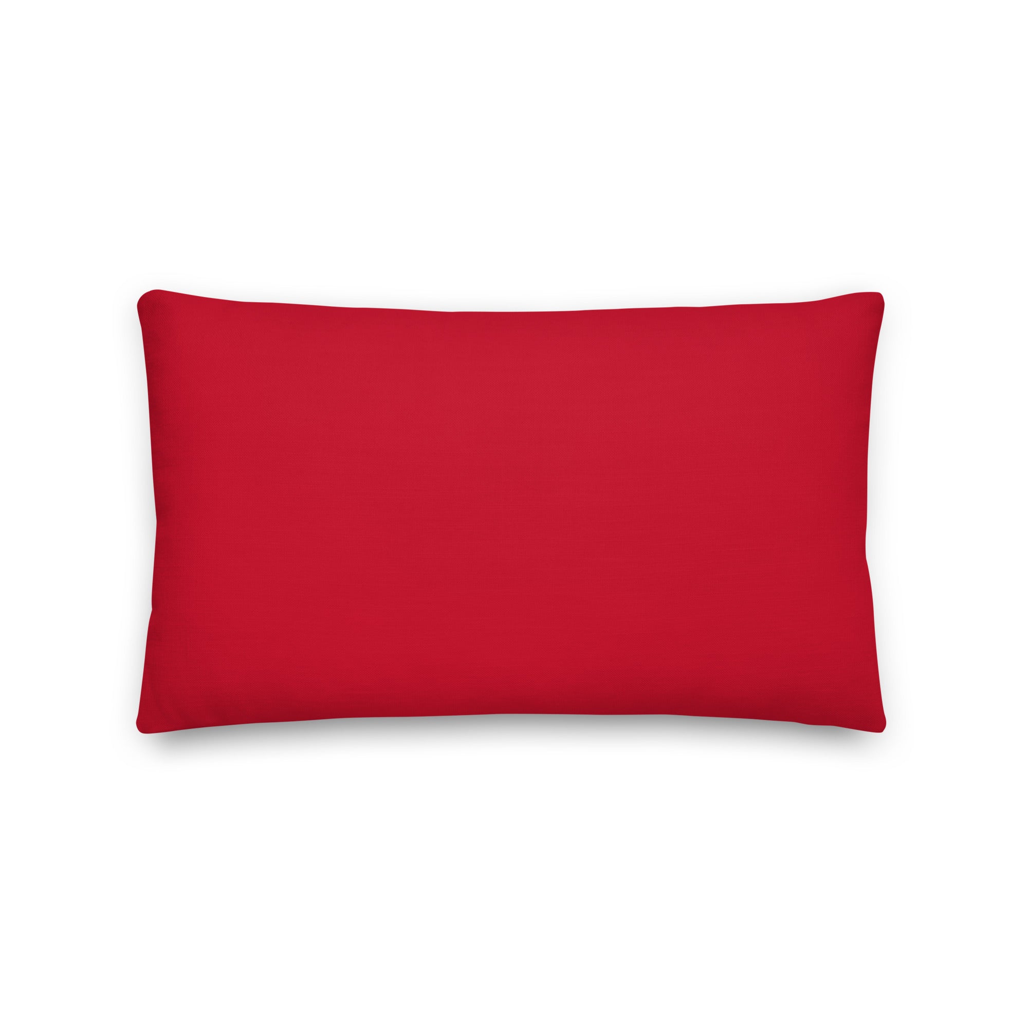 Hello My Pronouns Are Xe / Xem / Xyrs Pillow