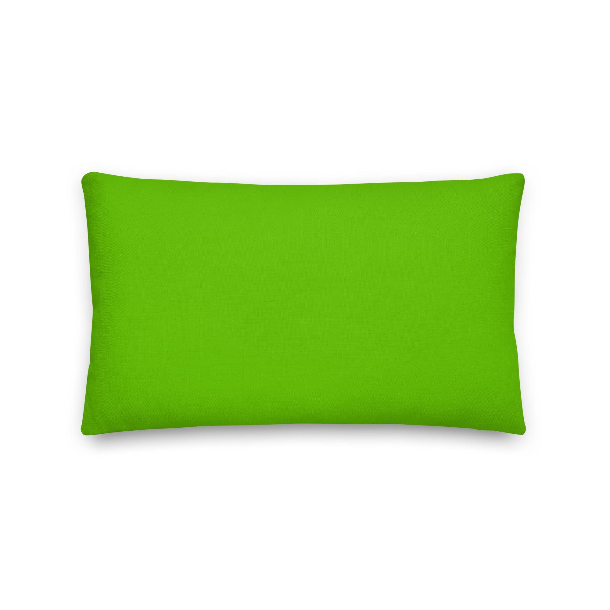 I Believe In Equality For All Pillow