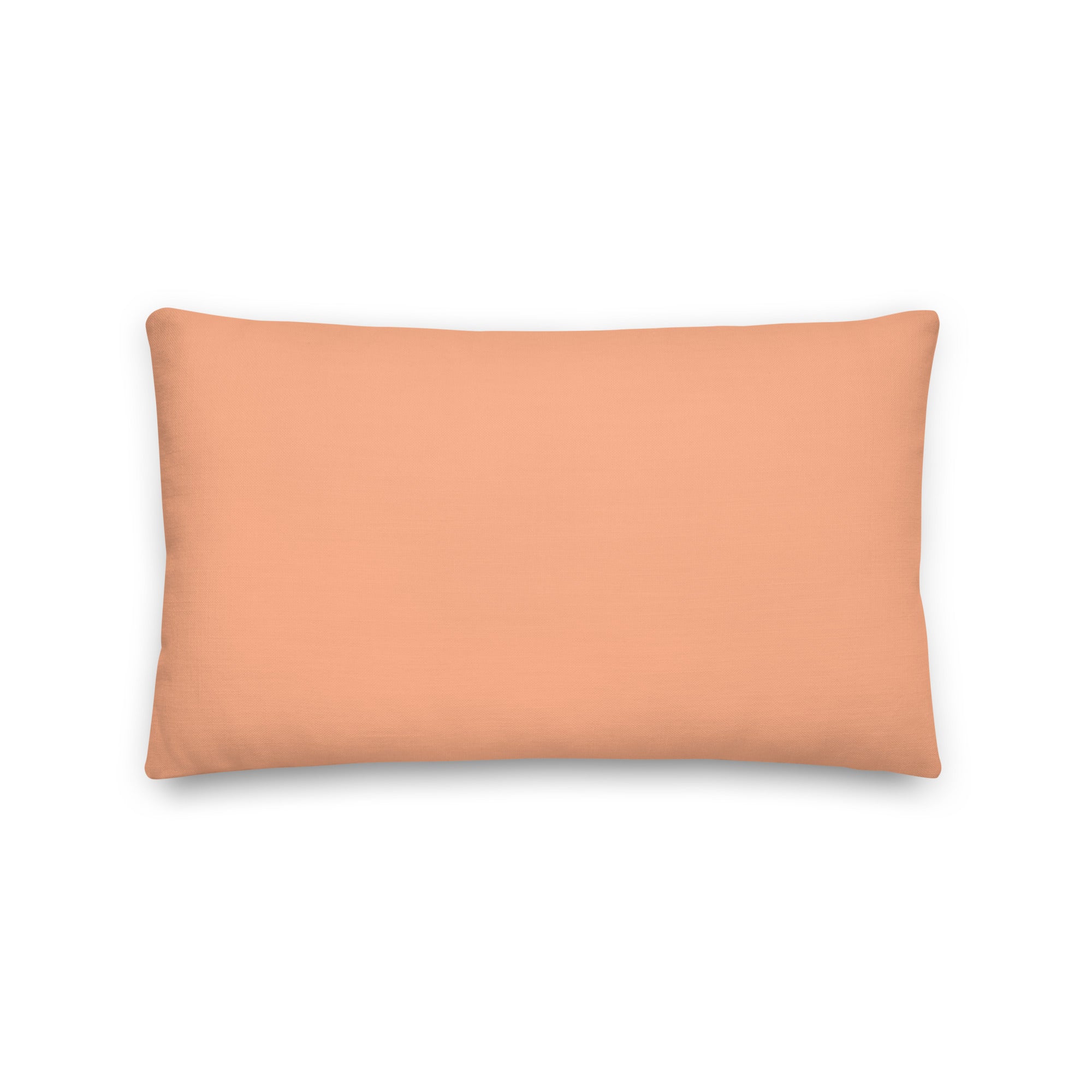 Liberals For Gay Space Socialism Pillow