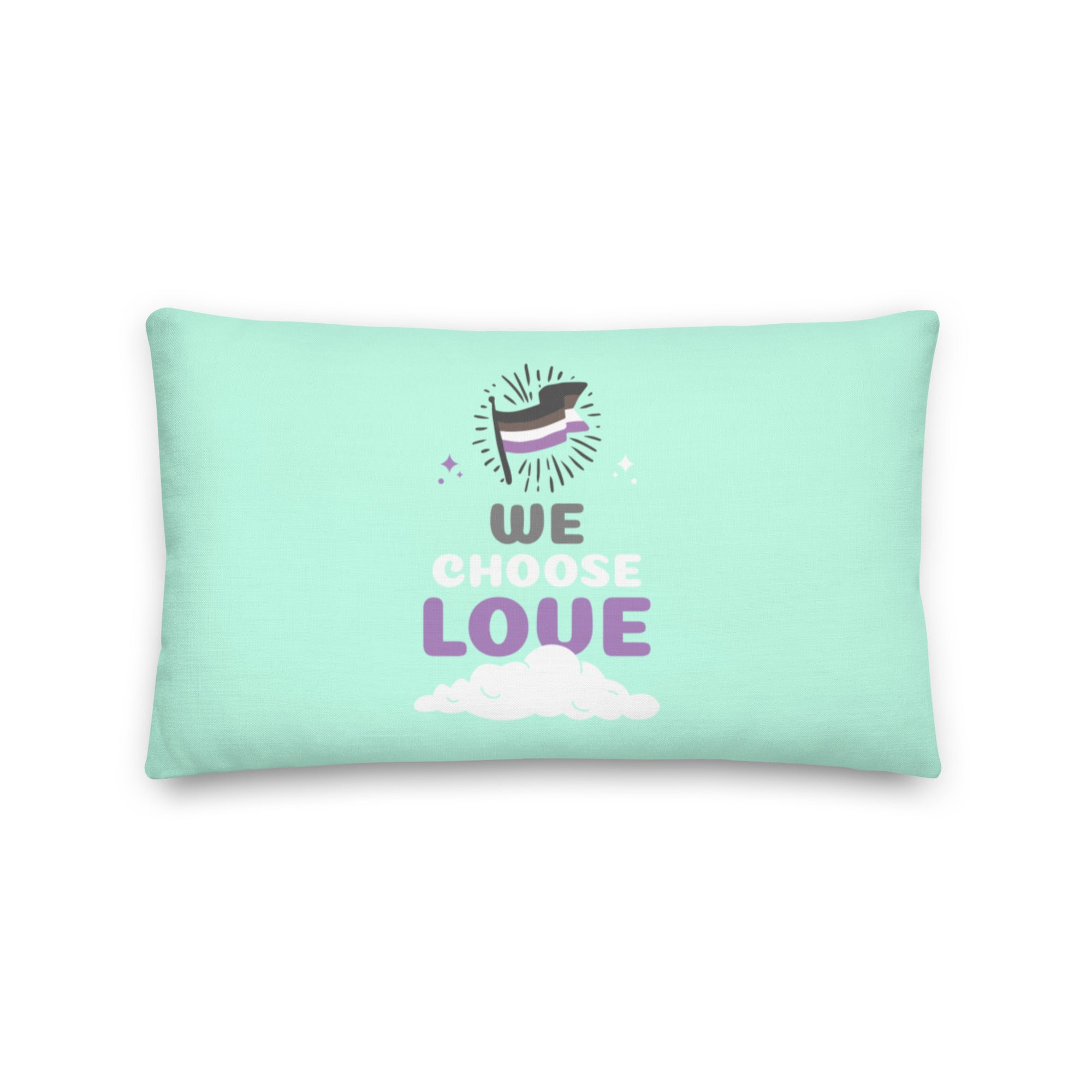 Asexual We Choose Love Pillow