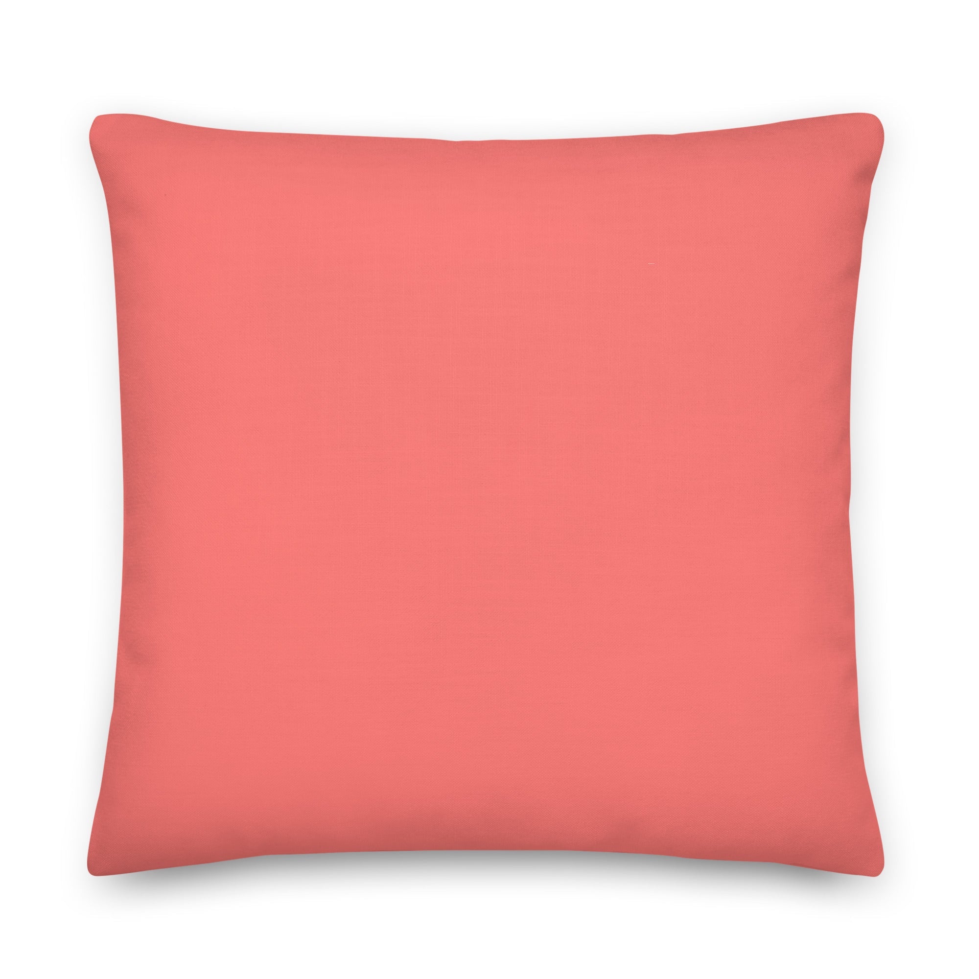 Gay Map Pillow