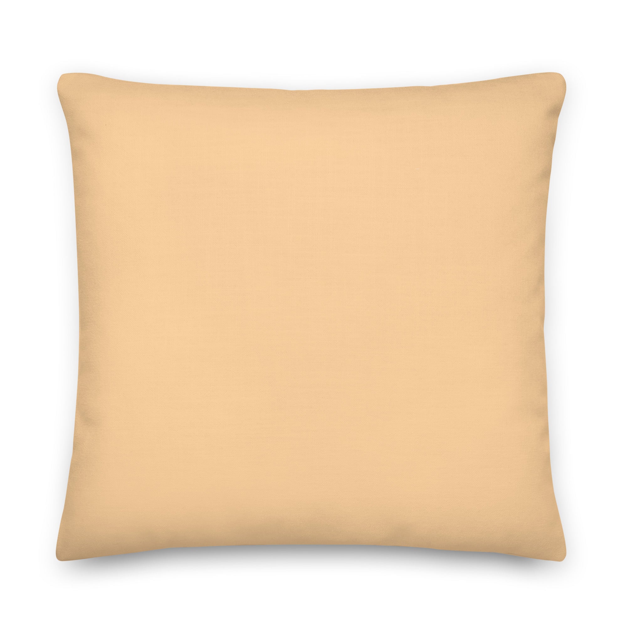 Guaranteed, I Can Blow Your Mind...mwah! Pillow