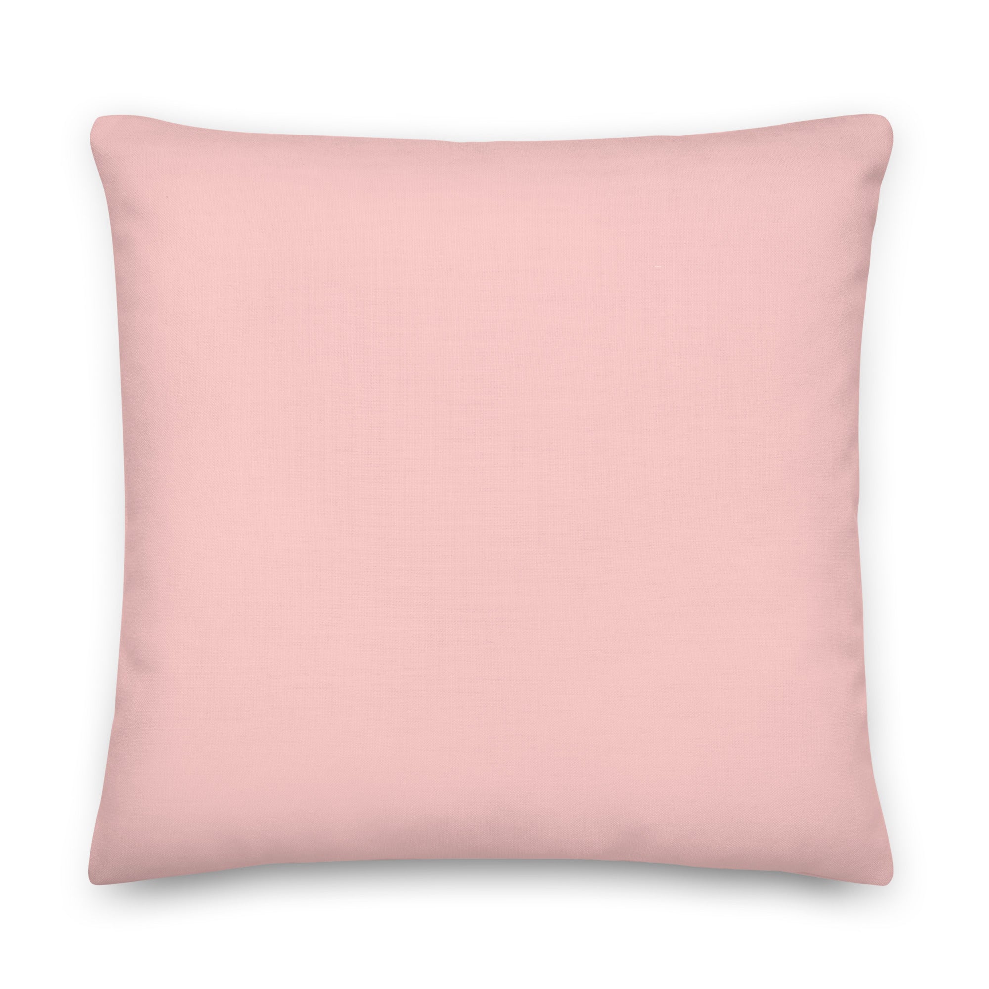 Don't Let Anyone Stop You From Being Proud Pillow