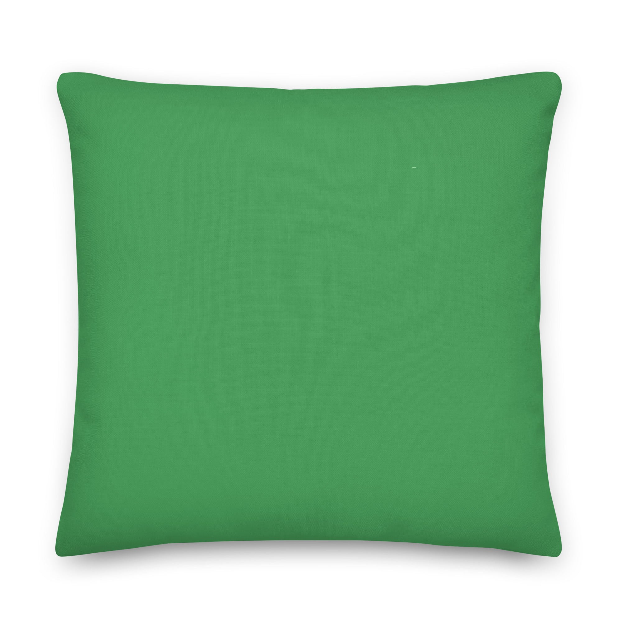 Hello My Pronouns Are Fluid. So Ask. Pillow