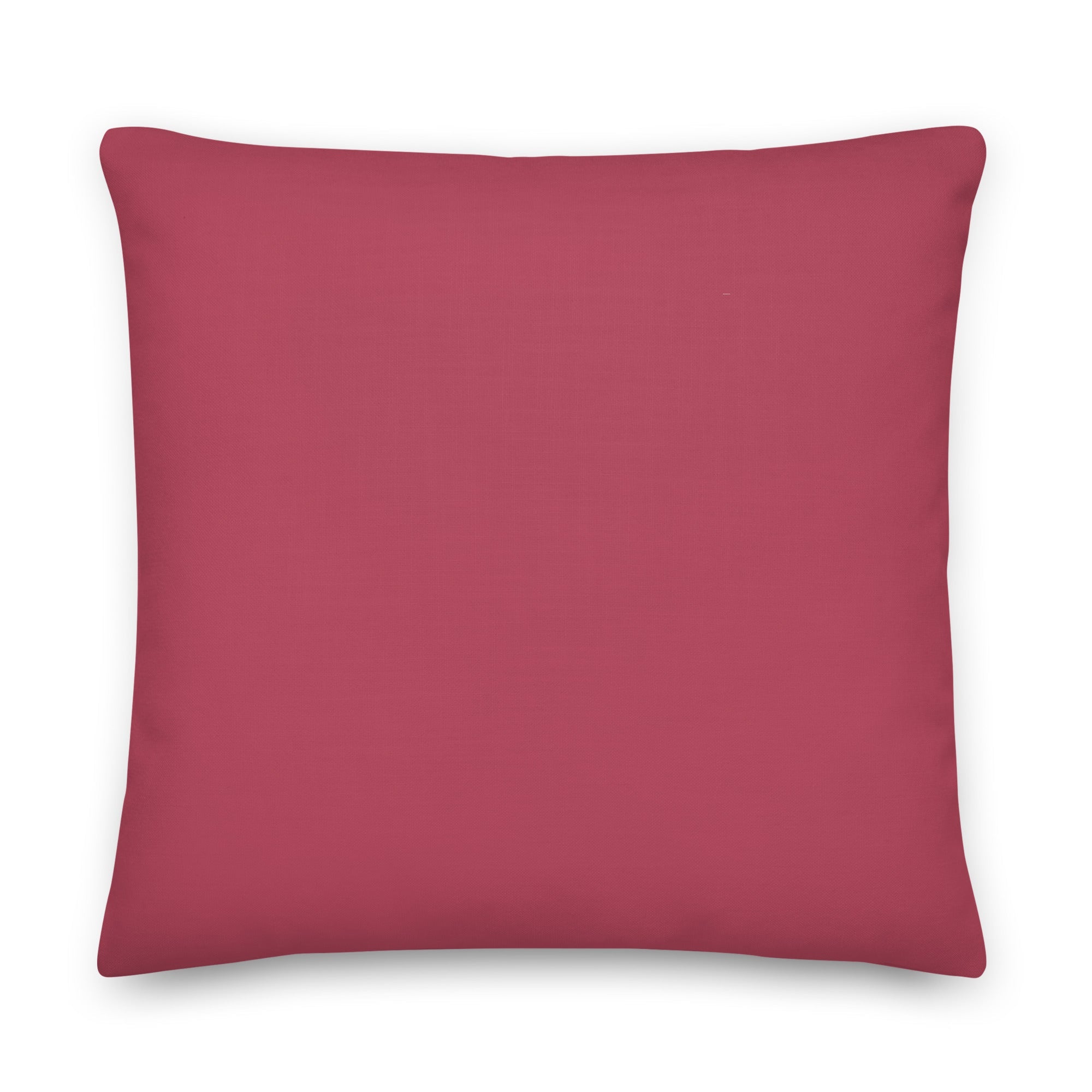 Hello My Pronouns Are Ze / Hir / Hirs Pillow
